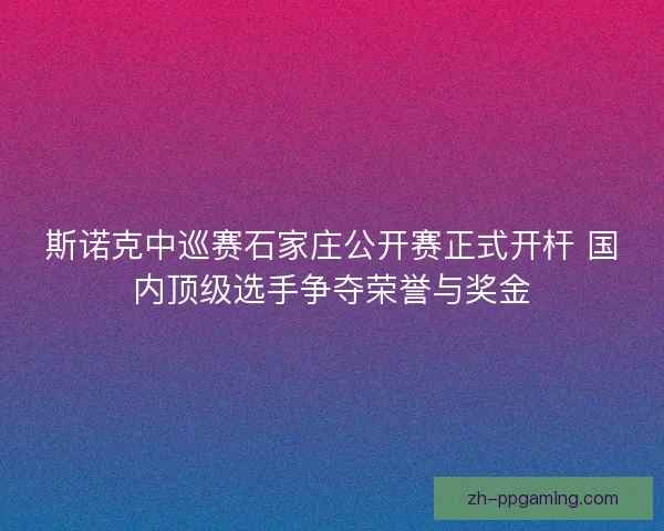 斯诺克中巡赛石家庄公开赛正式开杆 国内顶级选手争夺荣誉与奖金